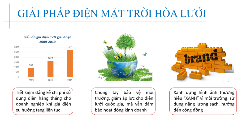 giai-phap-dien-mat-troi-hoa-luoi