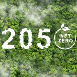 net-zero-2050