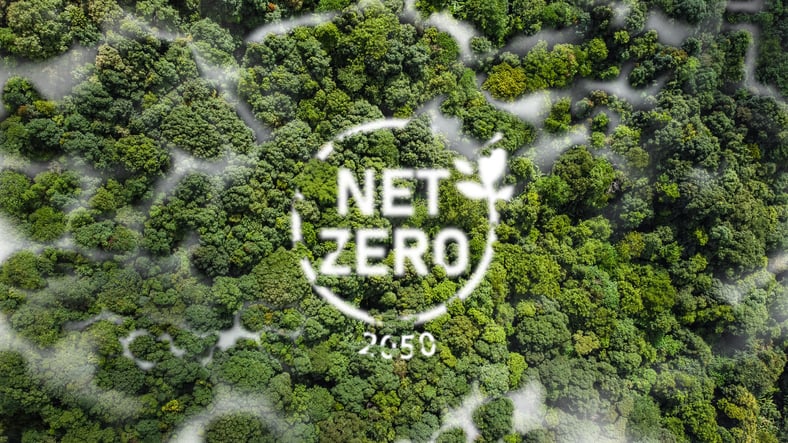 net-zero-2050