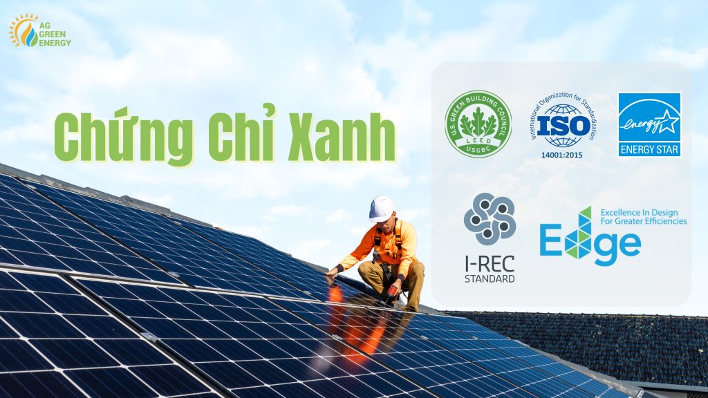 chung-chi-xanh