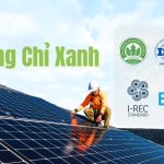 chung-chi-xanh