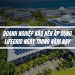 Những Doanh Nghiệp Nào Nên Triển Khai LifeGrid
