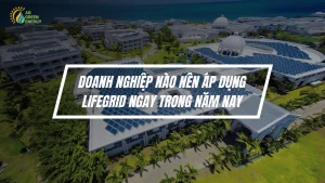 Những Doanh Nghiệp Nào Nên Triển Khai LifeGrid