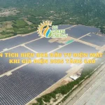 Phan-tich-hieu-qua-dau-tu-dien-mat-troi-2025