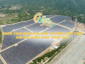 Phan-tich-hieu-qua-dau-tu-dien-mat-troi-2025
