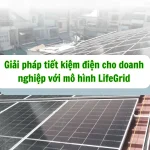 Giai-phap-tiet-kiem-cho-doanh-nghiep-LifeGrid