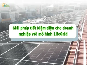 Giai-phap-tiet-kiem-cho-doanh-nghiep-LifeGrid