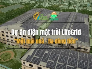 Du-an-dien-mat-troi-lifegrid