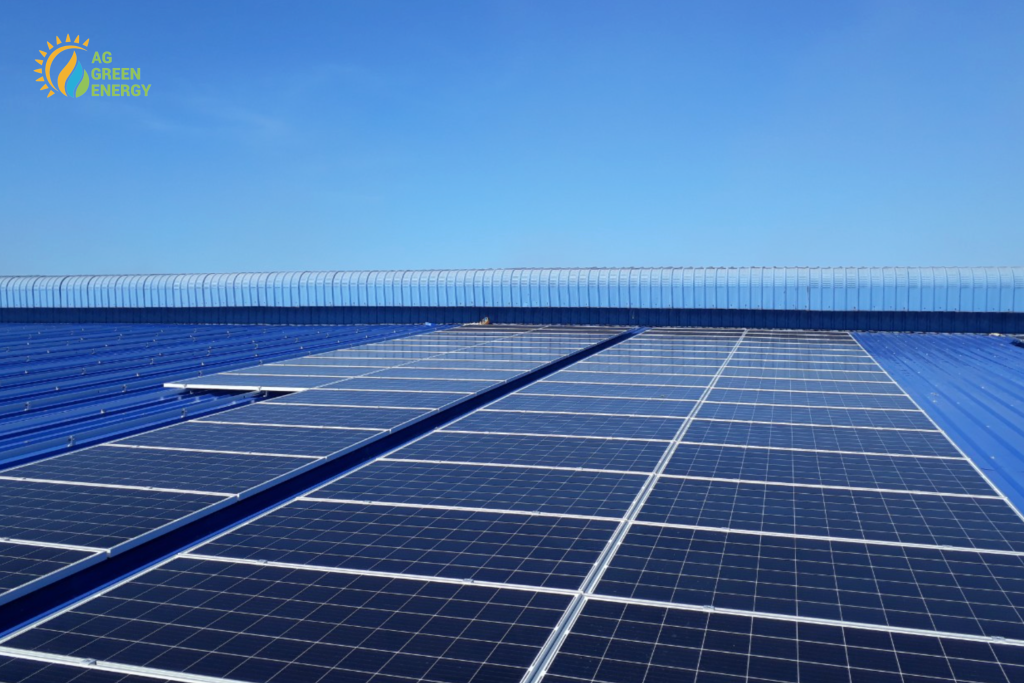 Dien-Mat-Troi-Hoa-Luoi-2026